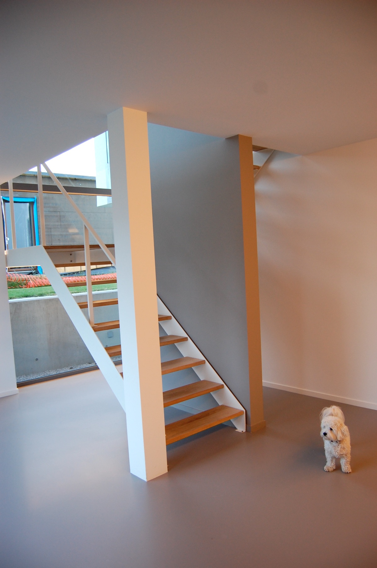 schattig hondje bij trap nieuwbouw architect
